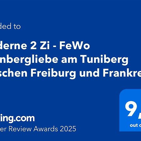 Moderne 2 Zi - Fewo Weinbergliebe Am Tuniberg Zwischen Freiburg Und Frankreich Merdingen Kültér fotó