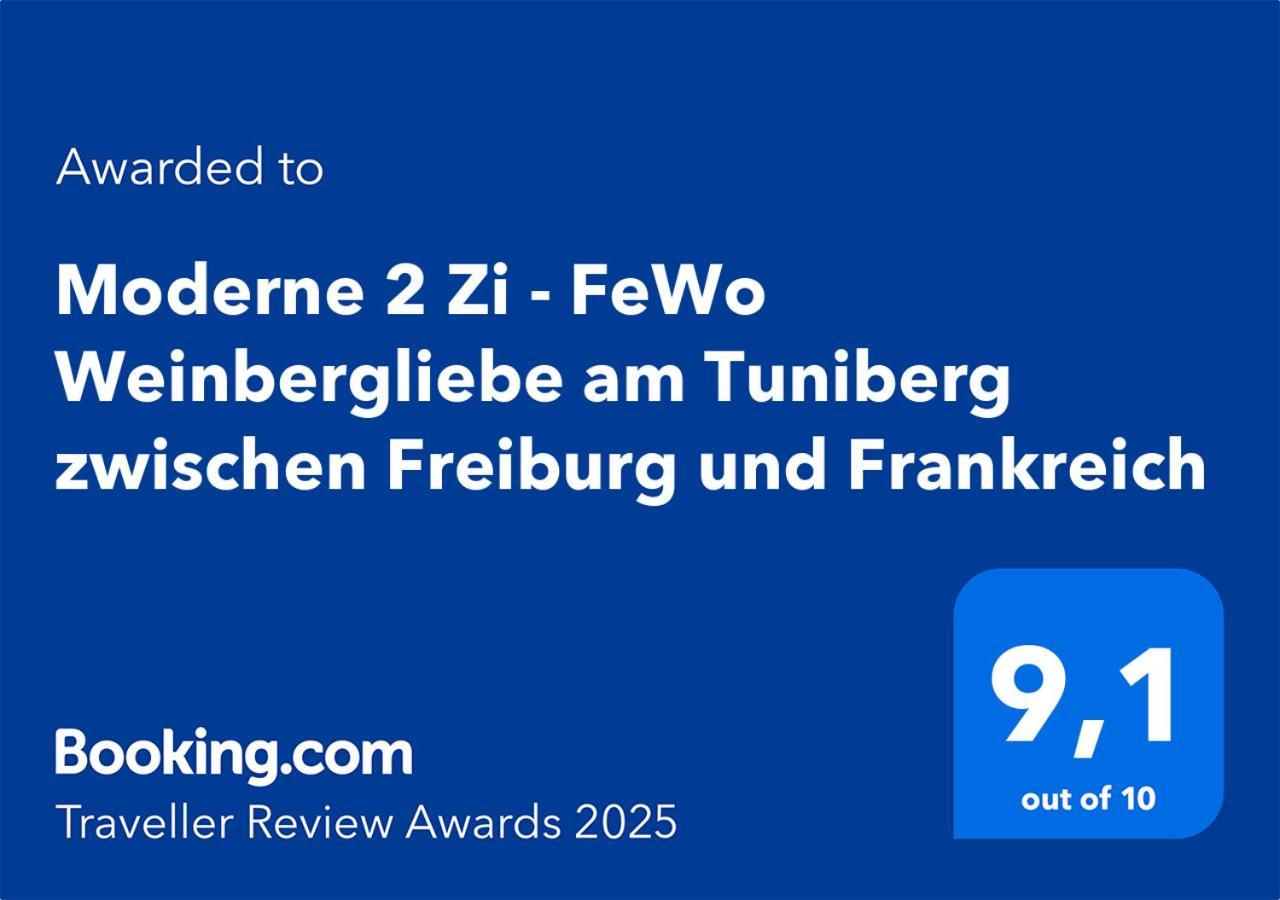 Moderne 2 Zi - Fewo Weinbergliebe Am Tuniberg Zwischen Freiburg Und Frankreich Merdingen Kültér fotó